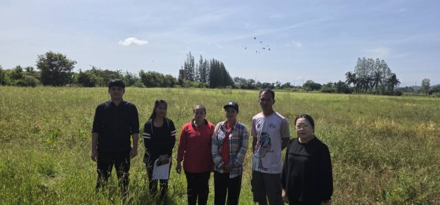 #เกษตรด่านมะขามเตี้ย.….ตรวจสอบพื้นที่ปลูกข้าวนาปี รอบปี 2568/69 ณ หมู่ 7 ตำบลกลอนโด อำเภอด่านมะขามเตี้ย จังหวัดกาญจนบุรี #เกษตรด่านมะขามเตี้ย.….ตรวจสอบพื้นที่ปลูกข้าวนาปี รอบปี 2568/69 ณ หมู่ 7 ตำบลกลอนโด อำเภอด่านมะขามเตี้ย จังหวัดกาญจนบุรี