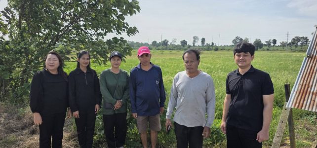 #เกษตรด่านมะขามเตี้ย.…ลงตรวจสอบพื้นที่ปลูกข้าวนาปี รอบปี 2568/69 ณ หมู่ 7 ตำบลกลอนโด อำเภอด่านมะขามเตี้ย จังหวัดกาญจนบุรี #เกษตรด่านมะขามเตี้ย.…ลงตรวจสอบพื้นที่ปลูกข้าวนาปี รอบปี 2568/69 ณ หมู่ 7 ตำบลกลอนโด อำเภอด่านมะขามเตี้ย จังหวัดกาญจนบุรี