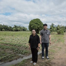 #เกษตรด่านมะขามเตี้ย.….ตรวจสอบพื้นที่ที่ได้รับผลกระทบจากน้ำท่วม ณ หมู่ 3 ตำบลหนองไผ่ อำเภอด่านมะขามเตี้ย จังหวัดกาญจนบุรี