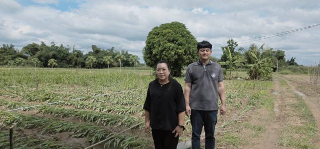 #เกษตรด่านมะขามเตี้ย.….ตรวจสอบพื้นที่ที่ได้รับผลกระทบจากน้ำท่วม ณ หมู่ 3 ตำบลหนองไผ่ อำเภอด่านมะขามเตี้ย จังหวัดกาญจนบุรี #เกษตรด่านมะขามเตี้ย.….ตรวจสอบพื้นที่ที่ได้รับผลกระทบจากน้ำท่วม ณ หมู่ 3 ตำบลหนองไผ่ อำเภอด่านมะขามเตี้ย จังหวัดกาญจนบุรี