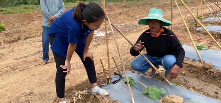 ลงพื้นที่ให้คำแนะนำเกษตรกรผู้ปลูกเมล่อนนอกฤดู