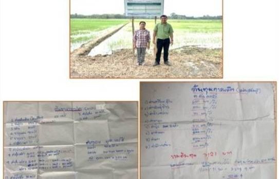 สรุปผลการดำเนินงานแปลงเรียนรู้การใช้ปุ๋ยตามค่าวิเคราะห์ดิน (ข้าว) สรุปผลการดำเนินงานแปลงเรียนรู้การใช้ปุ๋ยตามค่าวิเคราะห์ดิน (ข้าว)