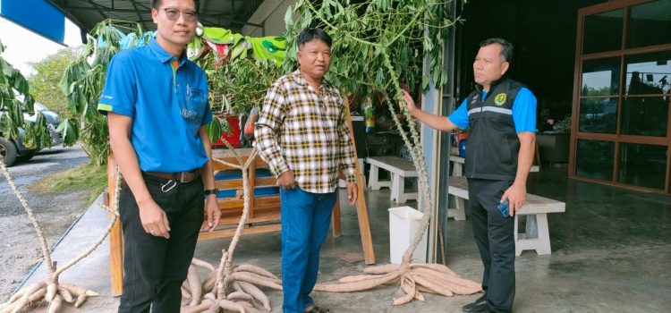 เกษตรกรดีเด่นระดับจังหวัด เกษตรกรดีเด่นระดับจังหวัด