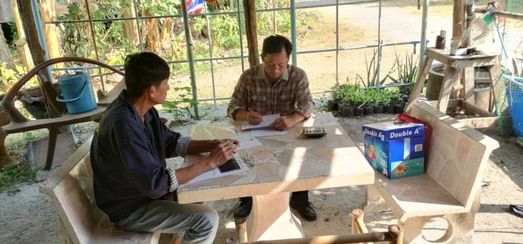 ตรวจประเมินแปลง GAP ตรวจประเมินแปลง GAP