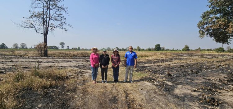 ตรวจจุดความร้อน ตรวจจุดความร้อน