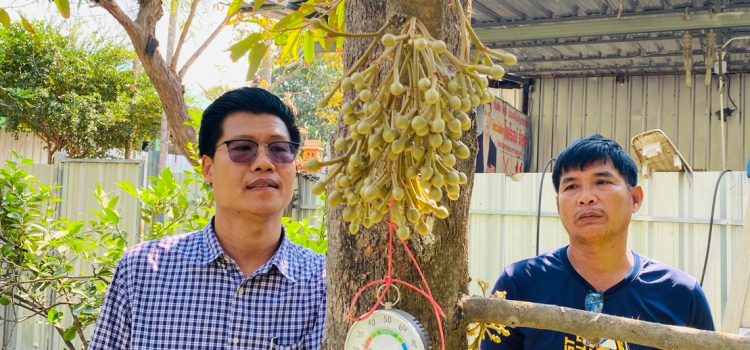 สถานการณ์ทุเรียน สถานการณ์ทุเรียน