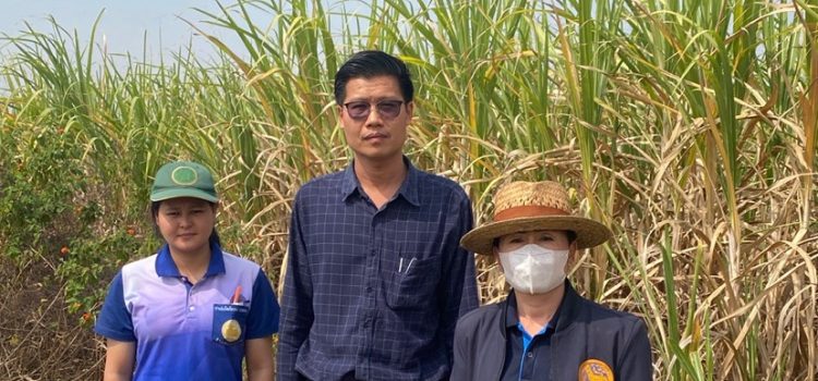 ตรวจจุดความร้อน ตรวจจุดความร้อน