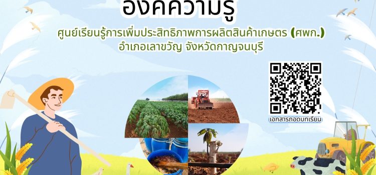 ถอดบทเรียน ศพก.