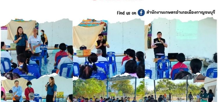 จัดกิจกรรมการส่งเสริมการหยุดเผาในพื้นที่การเกษตร
