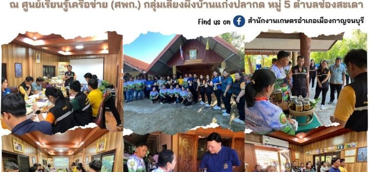 ประกวดศูนย์เรียนรู้การเพิ่มประสิทธิภาพการผลิตสินค้าเกษตร ดีเด่นระดับจังหวัด ประจำปี 2567 ณ ศพก.เครือข่าย กลุ่มเลี้ยงผึ้งบ้านแก่งปลากด อำเภอเมืองกาญจนบุรี จังหวัดกาญจนบุรี
