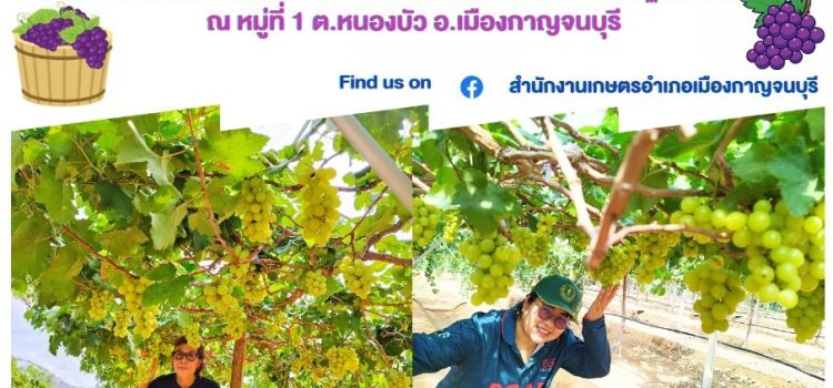 เยี่ยมเยียนเกษตรกรตามระบบส่งเสริมการเกษตร