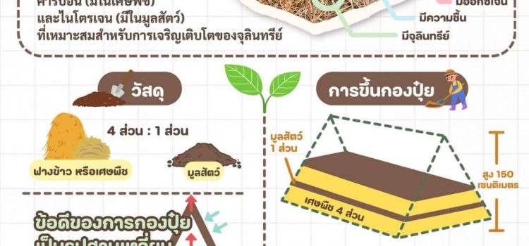 การทำปุ๋ยหมักแบบไม่พลิกกลับกอง