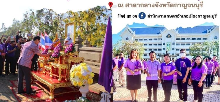 เกษตรเมืองกาญจน์ ร่วมกิจกรรมชาวเมืองกาญจน์น้อมใจภักดิ์ปกป้องและถวายกำลังใจ สมเด็จพระขนิษฐาธิราชเจ้า กรมสมเด็จพระเทพ ฯ สยามบรมราชกุมารี ณ ศาลากลางจังหวัดกาญจนบุรี