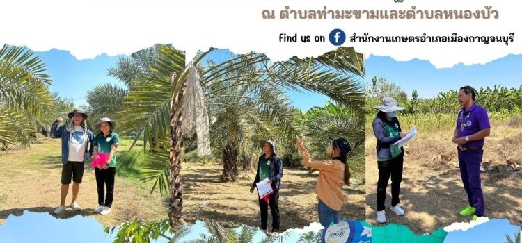 เกษตรเมืองกาญจน์ ลงพื้นที่เยี่ยมเยียนและให้คำแนะนำเกษตรกรในการเตรียมความพร้อมขอรับรองมาตรฐาน GAP
