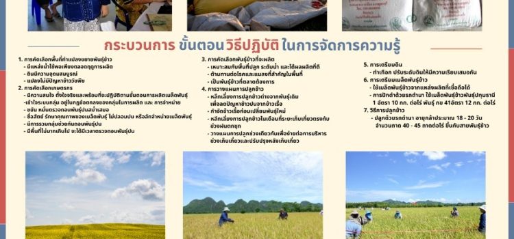 เทคนิคการผลิตเมล็ดพันธุ์ข้าวคุณภาพดี