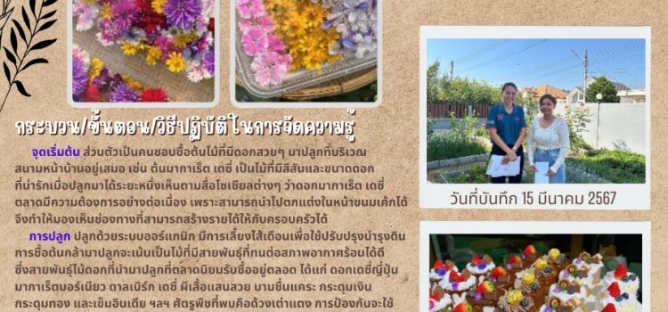 ดอกไม้กินได้  ใจกลางเมือง