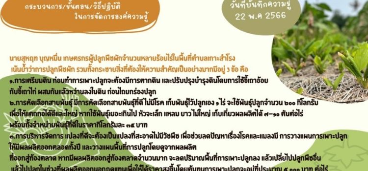 องค์ความรู้ เรื่องเม้าท์มอยซอย”กระชาย”