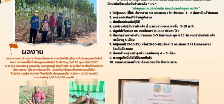 ”มันสามหาบ” เกษตรกรแปลงใหญ่มันสำปะหลังตำบลช่องสะเดา
