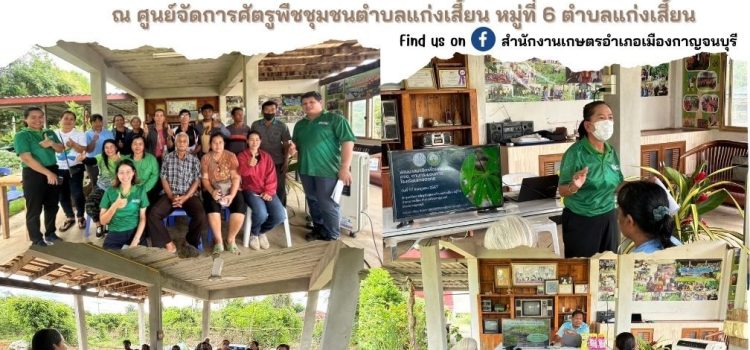 กิจกรรมพัฒนาสมาชิกเพื่อยกระดับ ศจช. ตามกระบวนการโรงเรียนเกษตรกร กิจกรรมพัฒนาสมาชิกเพื่อยกระดับ ศจช. ตามกระบวนการโรงเรียนเกษตรกร