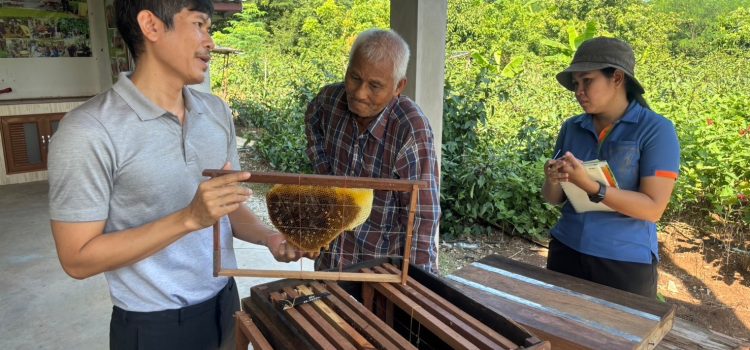แนะนำวิธีการเลี้ยงผึ้งเพื่อเพิ่มประสิทธิภาพในการผลิตพืช