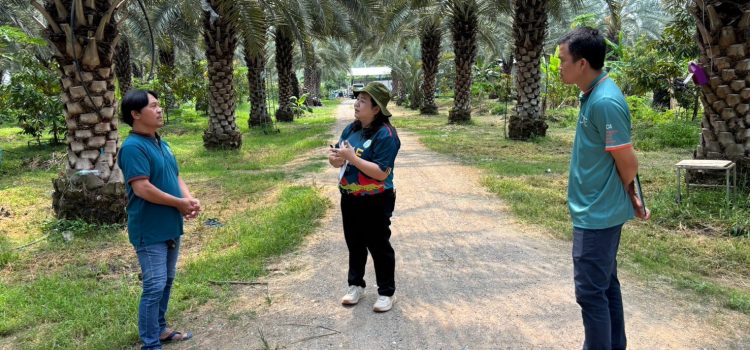 เกษตรเมืองกาญจน์….ภูมิใจนำเสนอ Young Smart Farmer ต้นแบบอำเภอเมืองกาญจนบุรี ปี 2568 เกษตรเมืองกาญจน์….ภูมิใจนำเสนอ Young Smart Farmer ต้นแบบอำเภอเมืองกาญจนบุรี ปี 2568