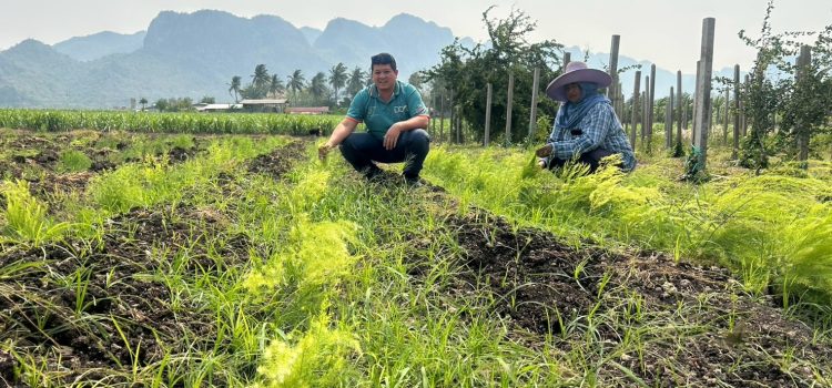 เกษตรเมืองกาญจน์…เดินหน้ายกระดับการเกษตรหมู่บ้าน สู่การผลิตสินค้าเกษตรมูลค่าสูง  ณ หมู่ที่ 7 ตำบลหนองบัว อำเภอเมืองกาญจนบุรี จังหวัดกาญจนบุรี