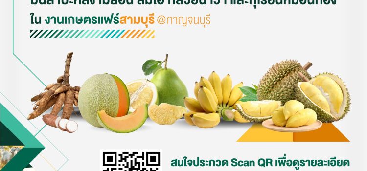 ประชาสัมพันธ์ ประกวดผลิตการเกษตร 5 ชนิด 3-7 พ.ค. 68 “มหกรรมเกษตรแฟร์สามบุรี @กาญจนบุรี 2568” ประชาสัมพันธ์ ประกวดผลิตการเกษตร 5 ชนิด 3-7 พ.ค. 68 “มหกรรมเกษตรแฟร์สามบุรี @กาญจนบุรี 2568”