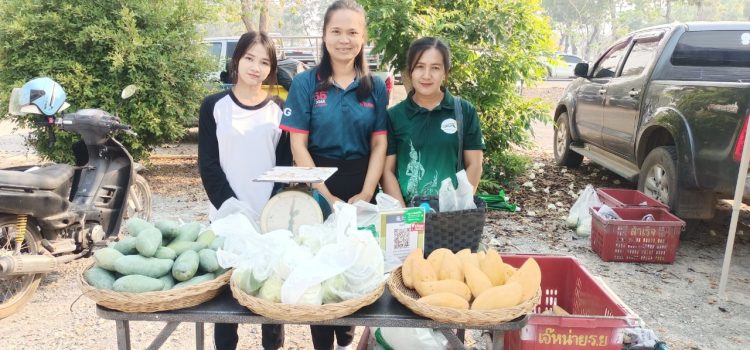 กิจกรรม ตลาดสินค้าชุมชน คนหนองปรือ “ตลาด บ้านเฮา กอหล๊าาาาา” กิจกรรม ตลาดสินค้าชุมชน คนหนองปรือ “ตลาด บ้านเฮา กอหล๊าาาาา”