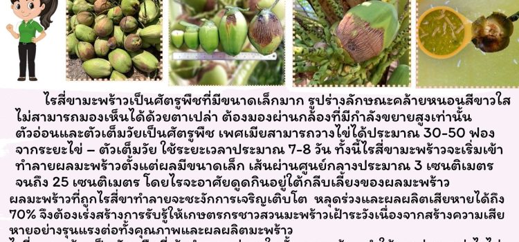 ข่าวเตือนการระบาดศัตรูพืช