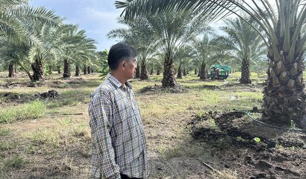 เกษตรหนองปรือ…ลงพื้นที่เก็บข้อมูลการเพาะปลูกพืชภายในชุมชุม