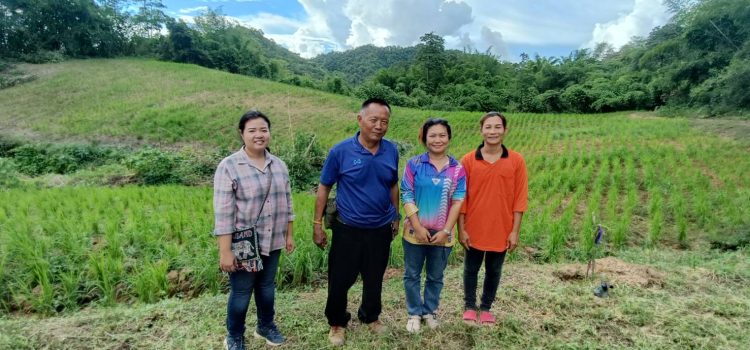 สำนักงานเกษตรอำเภอไทรโยค…ลงตรวจสอบพื้นที่เพาะปลูกพืชเศรษฐกิจ ได้แก่ ข้าวโพดเลี้ยงสัตว์ มันสำปะหลัง และข้าวนาปี ประจำปี 2568/69 ในพื้นที่ตำบลบ้องตี้ สำนักงานเกษตรอำเภอไทรโยค…ลงตรวจสอบพื้นที่เพาะปลูกพืชเศรษฐกิจ ได้แก่ ข้าวโพดเลี้ยงสัตว์ มันสำปะหลัง และข้าวนาปี ประจำปี 2568/69 ในพื้นที่ตำบลบ้องตี้