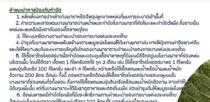 โรคใบร่วงชนิดใหม่ยางพารา