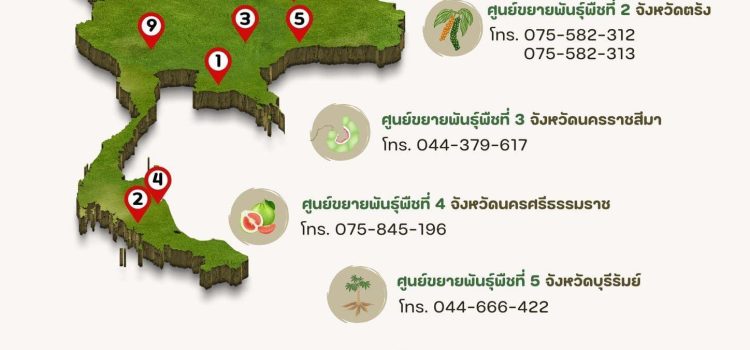 แหล่งผลิตและจำหน่ายพืชพันธุ์ดี