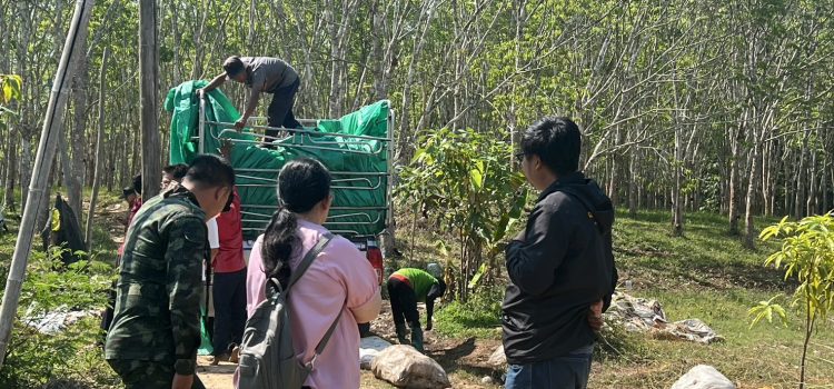 เข้าร่วมติดตามขั้นตอนการนำยางพาราออกจำหน่าย