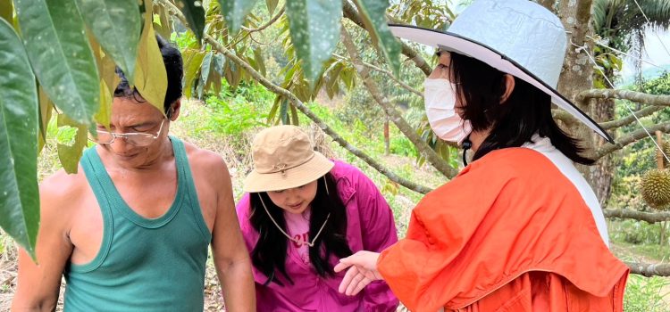 เกษตรสังขละบุรี ตรวจประเมินแปลงเกษตรกรที่ขอรับรองมาตราฐาน GAP