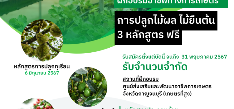 ประชาสัมพันธ์ฝึกอบรมอาชีพทางการเกษตร ประชาสัมพันธ์ฝึกอบรมอาชีพทางการเกษตร