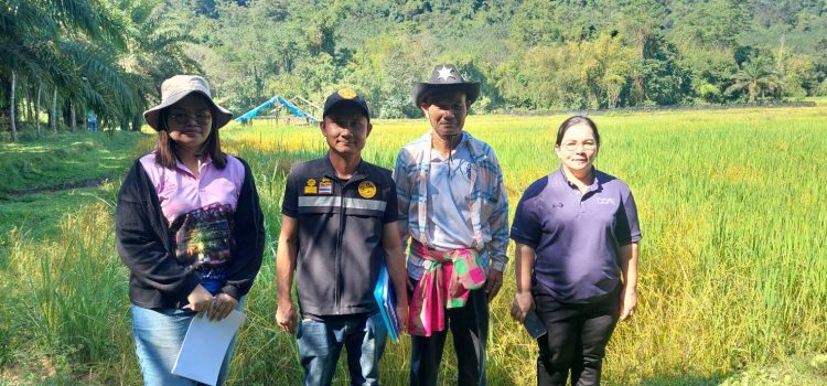 ประชาคมเกษตรกรผู้ปลูกข้าว ม.5 ต.หนองลู