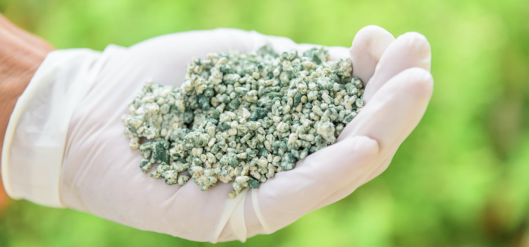 KM การใช้เชื้อราไตรโคเดอร์มาในสวนทุเรียนอย่างมีประสิทธิภาพ KM การใช้เชื้อราไตรโคเดอร์มาในสวนทุเรียนอย่างมีประสิทธิภาพ