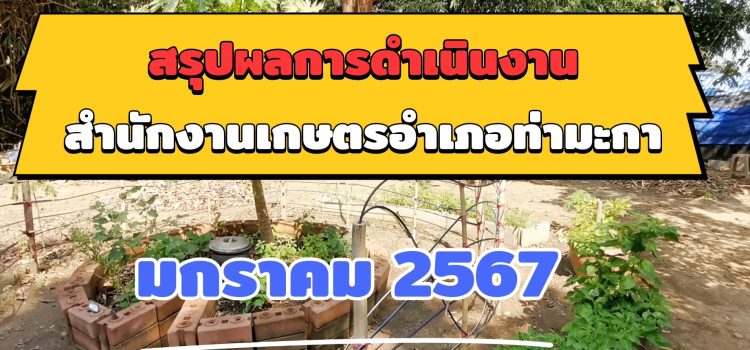 ผลการดำเนินงาน ประจำเดือน มกราคม 2567