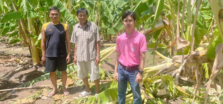 วันที่ 21 พฤษภาคม 2567 ลงพื้นที่สำรวจพื้นที่ปลูกพืชของเกษตรกรที่ได้รับความเสียหายจากเหตุวาตภัยในพื้นที่หมู่ 5 ตำบลอุโลกสี่หมื่น