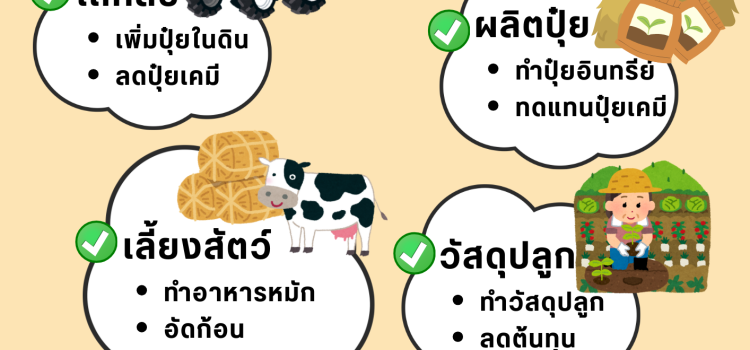 เกษตรปลอดการเผา