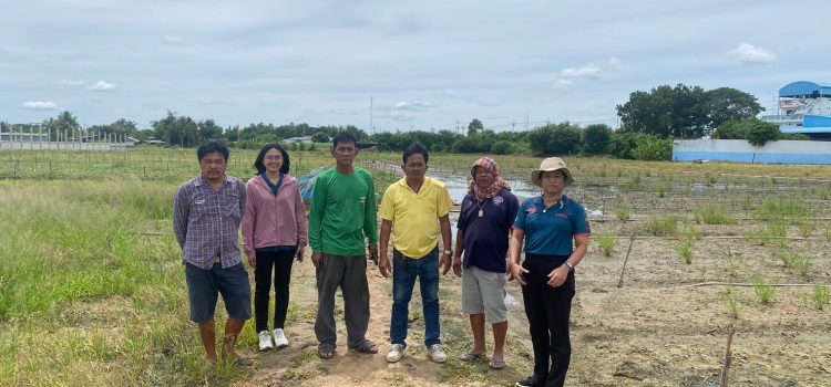 วันที่ 21 สิงหาคม 2567 ร่วมกับผู้นำชุมชน ฝ่ายป้องกันและบรรเทาสาธารณภัยเทศบาลตำบลพระแท่น ในการตรวจสอบพื้นที่การเกษตร ในหมู่ที่ 15 ตำบลพระแท่น