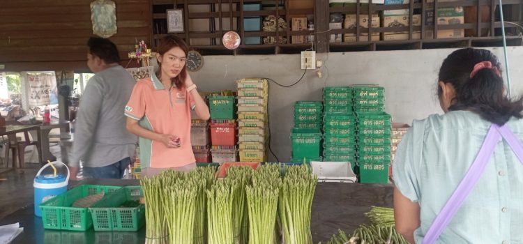 วันที่ 1 สิงหาคม 2567 ติดตามการดำเนินงานแปลงต้นแบบของเกษตรกร ภายใต้โครงการพัฒนาศักยภาพและยกระดับการผลิตสินค้าเกษตรปลอดภัยและเกษตรอินทรีย์ ตำบลท่าไม้