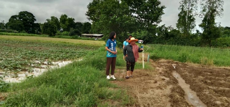 วันที่ 4 ตุลาคม 2567 ดำเนินการตรวจสอบพื้นที่การเกษตร หมู่ที่ 13 ตำบลแสนตอ