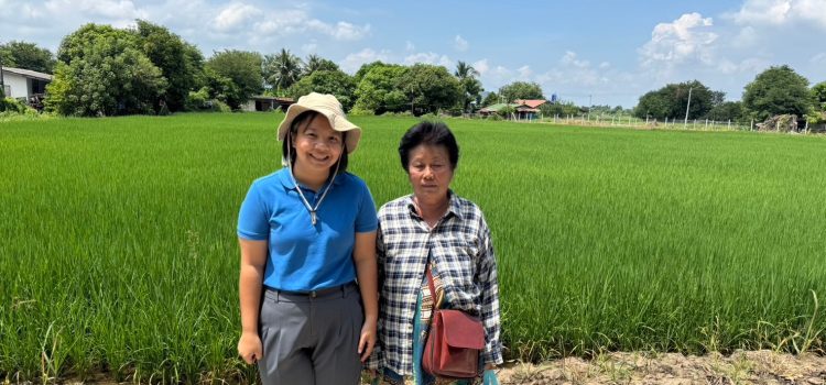วันที่ 4 ตุลาคม 2567 ดำเนินการตรวจสอบพื้นที่เพาะปลูกข้าวนาปี 2567/68 ในพื้นที่หมู่ 5 ตำบลหวายเหนียว