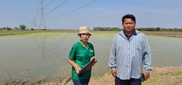 วันที่ 14 มีนาคม 2568 ดำเนินการลงพื้นที่ตรวจสอบการขึ้นทะเบียนเกษตรกรผู้ปลูกข้าว ในพืันที่ หมู่ที่ 2 และหมู่ที่ 8 ตำบลดอนชะเอม อำเภอท่ามะกา จังหวัดกาญจนบุรี