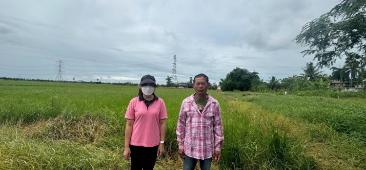 วันที่ 27 พฤษภาคม 2568 การลงพื้นที่ตรวจสอบแปลงปลูกข้าวนาปรังของเกษตรกรที่ขึ้นทะเบียนในพื้นที่ หมู่ 1 ตำบลตะคร้ำเอน อำเภอท่ามะกา จังหวัดกาญจนบุรี