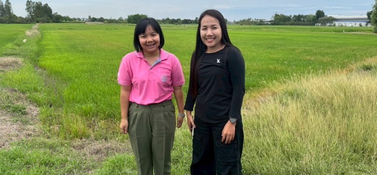 วันที่ 13 พฤษภาคม 2568 ลงพื้นที่ตรวจสอบพื้นที่ปลูกข้าวนาปรังของเกษตรกรที่ขึ้นทะเบียนเกษตรกรในพื้นที่ หมู่ 4 ตำบลหวายเหนียว อำเภอท่ามะกา จังหวัดกาญจนบุรี