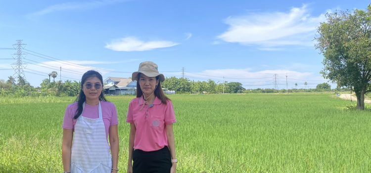 วันที่ 6 พฤษภาคม 2568 ลงพื้นที่ตรวจสอบพื้นที่ปลูกข้าวนาปรังของเกษตรกรที่ขึ้นทะเบียนเกษตรกรในพื้นที่ตำบลหนองลาน อำเภอท่ามะกา จังหวัดกาญจนบุรี