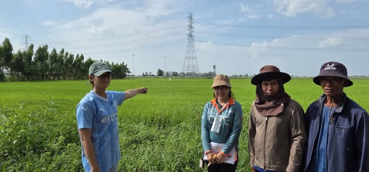 วันที่ 4 มิถุนายน 2568 ลงพื้นที่ตรวจสอบแปลงปลูกข้าวนาปรังของเกษตรกรที่ขึ้นทะเบียนในพื้นที่ หมู่ที่ 9 ตำบลตะคร้ำเอน อำเภอท่ามะกา จังหวัดกาญจนบุรี